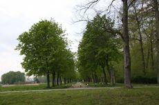 Allee-38.jpg